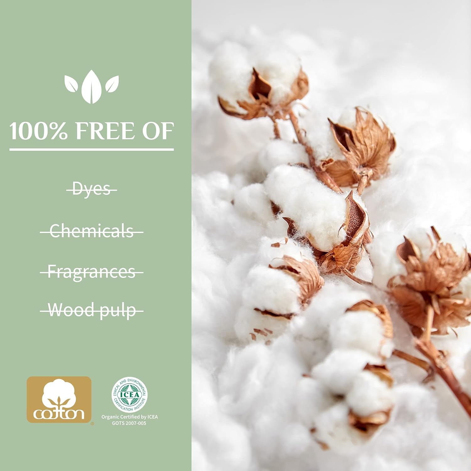 Beauty Cotton Balls, White, 100 Count